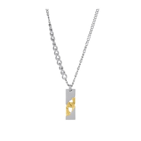 Two Tone Stainless Steel Dog Tag Pendant Necklace